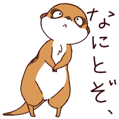 [LINEスタンプ] ミーアキャット すず