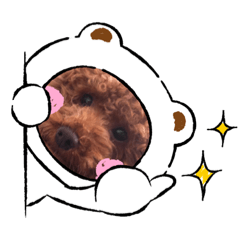 [LINEスタンプ] イヌだよー2