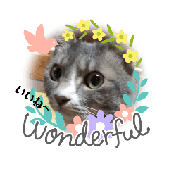 [LINEスタンプ] ニコ＆ナナ 2