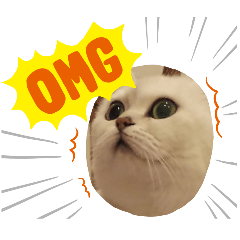 [LINEスタンプ] ランちゃんとむげん