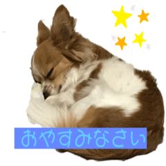 [LINEスタンプ] わがやのワンちゃん チップ！
