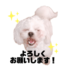 [LINEスタンプ] しらたみちざね