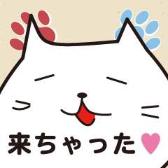 [LINEスタンプ] ねこねこ召喚 スタンプ