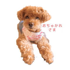 [LINEスタンプ] ほのぼのoimo