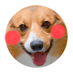 [LINEスタンプ] zenchan kawaii ♡