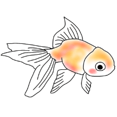 [LINEスタンプ] ちょっと大人な金魚