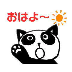 [LINEスタンプ] ねこぱんだ(日常用語)