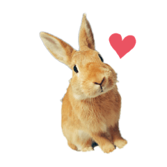 [LINEスタンプ] れんたまちゃん
