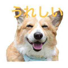 [LINEスタンプ] アニーさんのこころ
