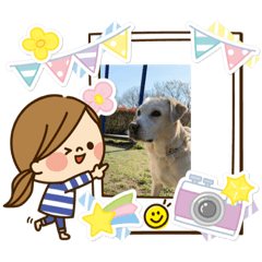 [LINEスタンプ] ラブラドール キャンディ