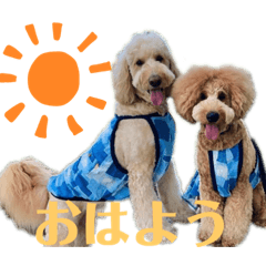 [LINEスタンプ] セブキラスタンプ