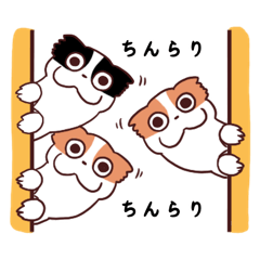 [LINEスタンプ] 茶狆のスタンプ