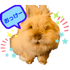 [LINEスタンプ] まさむね＆こじゅうろう