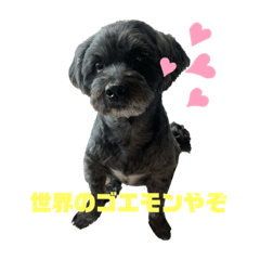 [LINEスタンプ] ゴエモンの日常2