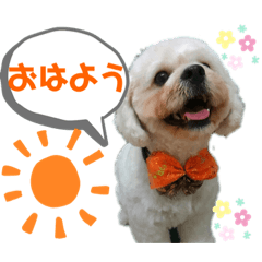 [LINEスタンプ] やんちゃろくたのスタンプU・x・U