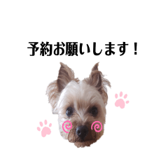 [LINEスタンプ] エマネル美容室✂️
