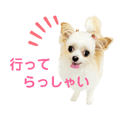 [LINEスタンプ] なっつ♡ぴのんコラボスタンプ②
