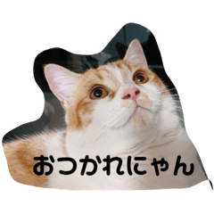 [LINEスタンプ] ふて猫ちくわ③