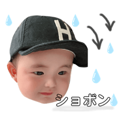 [LINEスタンプ] はる坊ちゃんの 一言スタンプ ！
