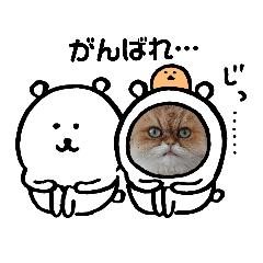 [LINEスタンプ] ちんちらーず