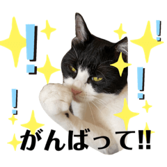 [LINEスタンプ] おこちびの日常③