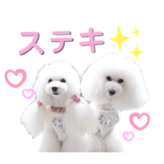 [LINEスタンプ] プリフラのステキな♡ハッピースタンプ
