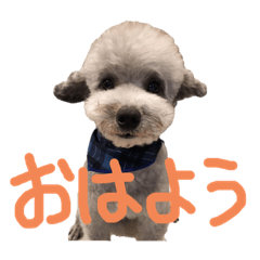 [LINEスタンプ] くうらん