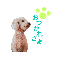 [LINEスタンプ] おてんこ