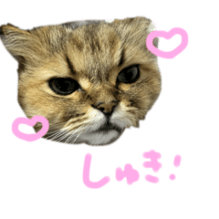 [LINEスタンプ] みるくちゃんのスタンプ₍ ^.  ̫ .^ ₎