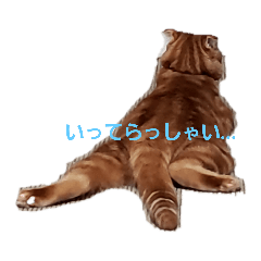 [LINEスタンプ] 琥珀のつぶやき2