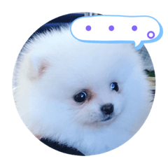 [LINEスタンプ] プポちゃん2