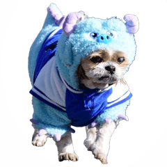 [LINEスタンプ] シーズー犬・ポコ 2