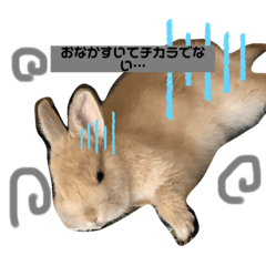 [LINEスタンプ] ネザーランド よく使う