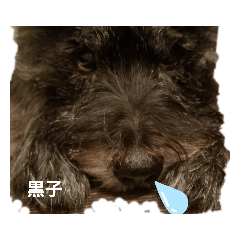 [LINEスタンプ] kappiとo-chan#2