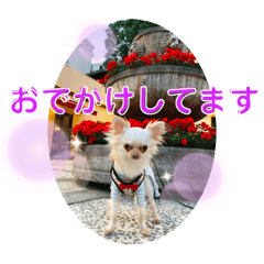 [LINEスタンプ] ラナくん3
