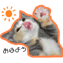 [LINEスタンプ] もよスタンプ