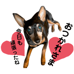 [LINEスタンプ] ちょきらんおฅ▽・ᴥ・▽ฅ