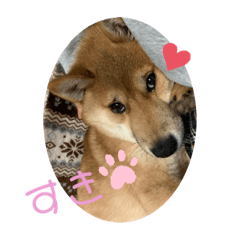 [LINEスタンプ] まるだよ。丸じゃないよ。
