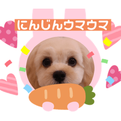 [LINEスタンプ] かわいいマロンちゃん、第一弾