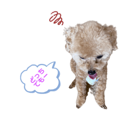 [LINEスタンプ] るうく tan
