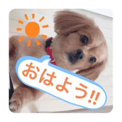 pekipekipeki