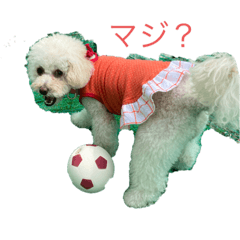 [LINEスタンプ] ランちゃんの一日