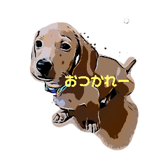 [LINEスタンプ] 犬Dachshund