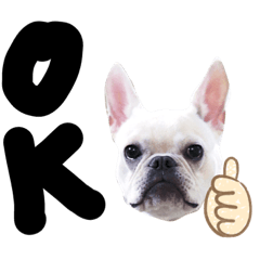 [LINEスタンプ] フレブルふぅちゃん その1