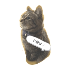 [LINEスタンプ] なかせみるちゃん