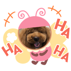 [LINEスタンプ] chichichi.224