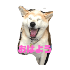 [LINEスタンプ] ぽおちゃん