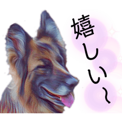 [LINEスタンプ] 長毛シェパードのサリー