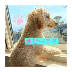 [LINEスタンプ] くろ ここ てん くう