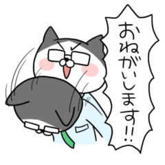 [LINEスタンプ] はちわれ猫 はっちゃん